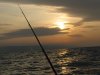 IMG_0551.jpg