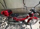 IMG_6685.jpeg