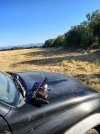 IMG_20260801_082356865_HDR.jpg