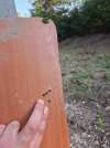 20260902_181903.jpg