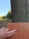 20260902_181831.jpg
