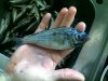 23052010355.jpg