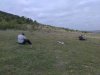IMG_20160502_114441.jpg