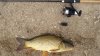 20160808_174532.jpg