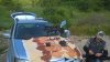 WP_20180521_16_19_49_Pro.jpg