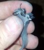 20181025_071832.jpg