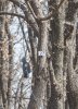 IMG_7188_A.jpg