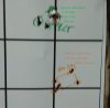 IMG_20190308_140129.jpg