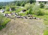 DJI_0317.JPG