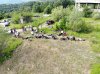 DJI_0318.JPG