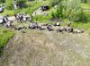 DJI_0319.JPG