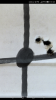 Screenshot_20190721-192831.png