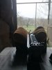 IMG_20200328_085556.jpg