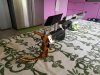 IMG_20200520_150829.jpg