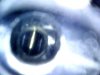 Snapshot000006.jpg