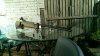 IMAG0517.jpg