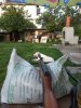 IMG_20210624_201215.jpg