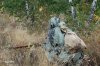7811718-soviet-sniper-of-ww2-historical-reenactment.jpg
