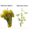 1664847590253.png