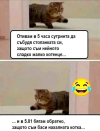 1684130268544.png