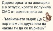 1693624153460.jpeg
