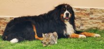 IMG_20230815_151209~2.jpg