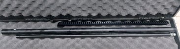 20231025_012038.jpg