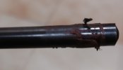 20240309_123356.jpg