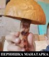 1720613316794.jpeg