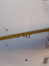 20241025_183652.jpg