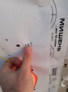 20241025_183615.jpg