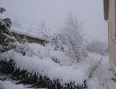 IMG_20241226_104527~2.jpg