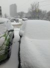 IMG_20250111_111107.jpg