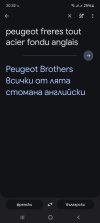 Screenshot_20250310_203227_Translate.jpg