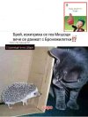 1744857483202.jpeg