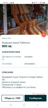 Screenshot_20250430_065731_OLXbg.jpg