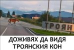 1749468967468.jpeg