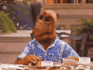 compressed_alf_final.gif