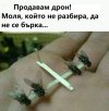 1753851574147.jpeg