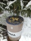 IMG_20260108_110930.jpg