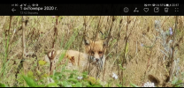 Screenshot_20260130_210522_com.android.gallery3d.png
