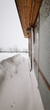 IMG_20260218_115046_1.jpg