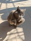 Messenger_creation_2305B500-A396-45A9-96B8-FB83251D3B87.jpeg