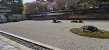 20260405_090832.jpg