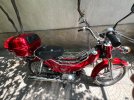 IMG_6685.jpeg