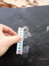 20260507_175229.jpg