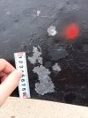 20260507_183946.jpg