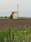 20260507_194656.jpg