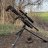 traper308